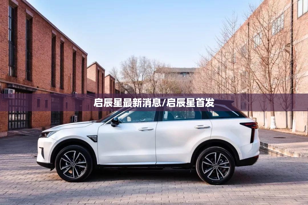 启辰星最新消息/启辰星首发
