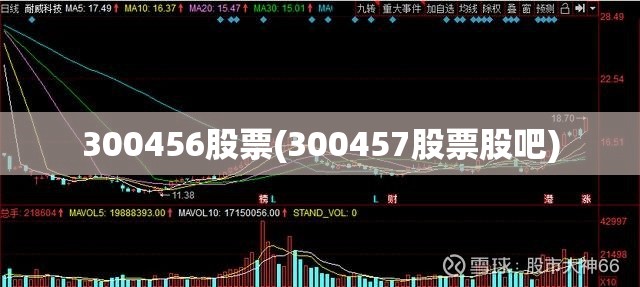 300456股票(300457股票股吧) 300456股票(300457股票股吧)