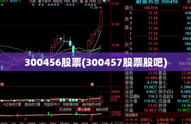 300456股票(300457股票股吧) 300456股票(300457股票股吧)