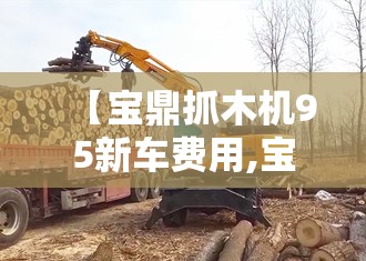 【宝鼎抓木机95新车费用,宝鼎抓木机95新车费用图片】 【宝鼎抓木机95新车费用,宝鼎抓木机95新车费用图片】