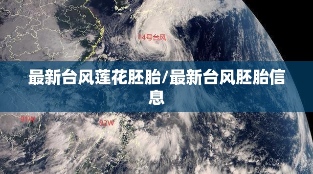 最新台风莲花胚胎/最新台风胚胎信息