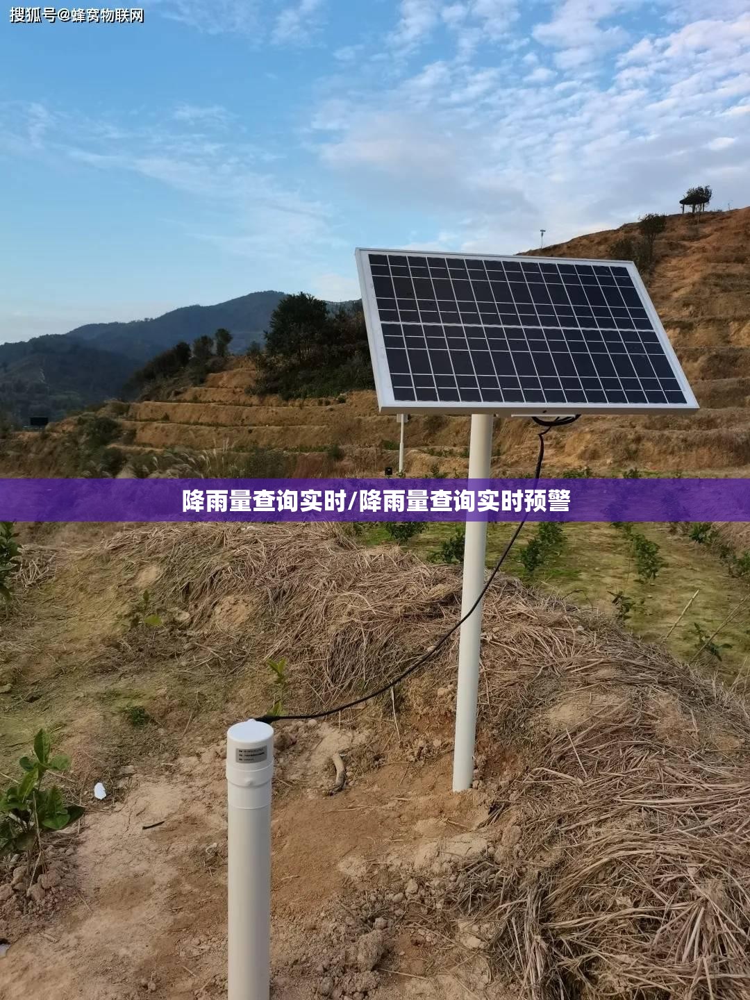 降雨量查询实时/降雨量查询实时预警