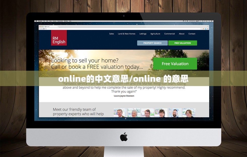 online的中文意思/online 的意思