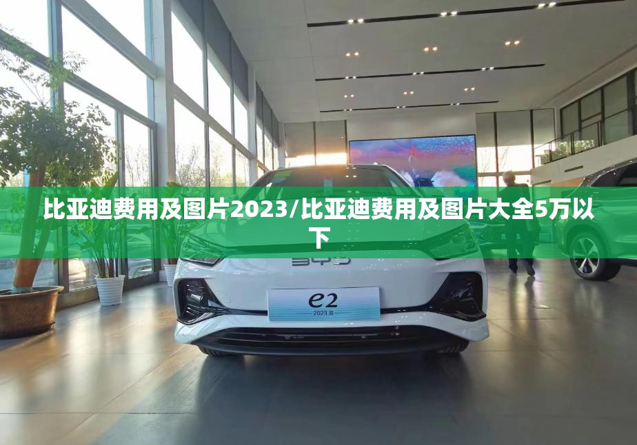 比亚迪费用及图片2023/比亚迪费用及图片大全5万以下