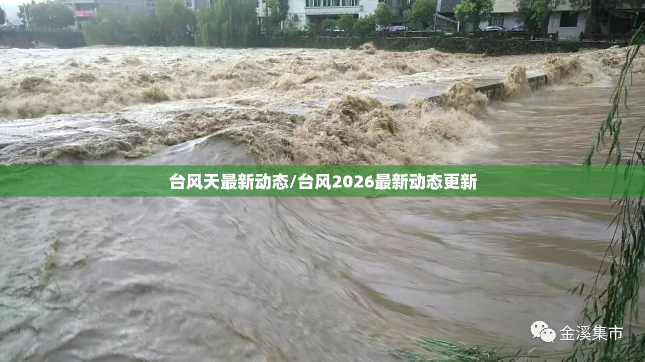 台风天最新动态/台风2026最新动态更新 台风天最新动态/台风2026最新动态更新