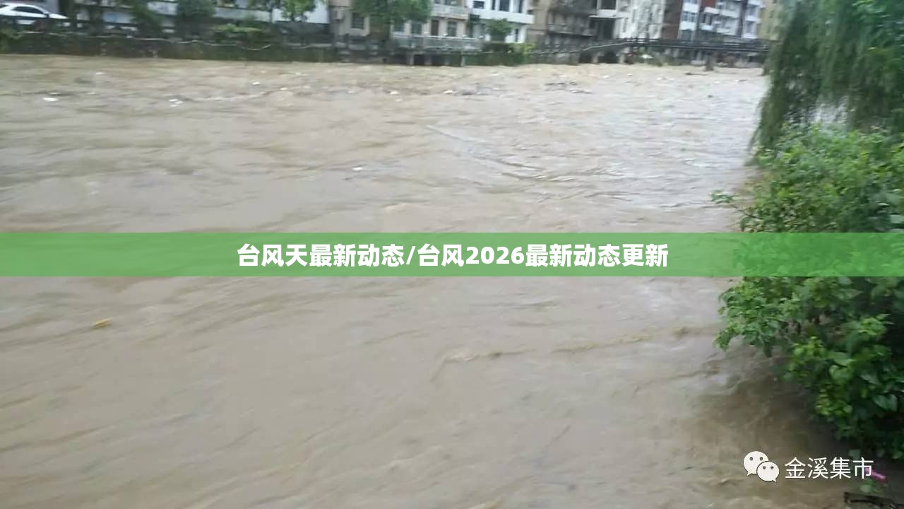 台风天最新动态/台风2026最新动态更新 台风天最新动态/台风2026最新动态更新