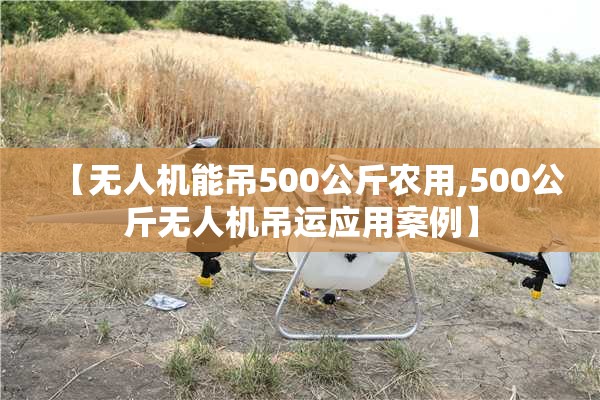 【无人机能吊500公斤农用,500公斤无人机吊运应用案例】 【无人机能吊500公斤农用,500公斤无人机吊运应用案例】