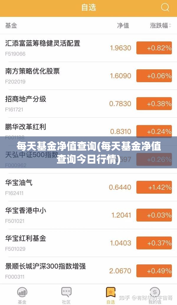 每天基金净值查询(每天基金净值查询今日行情) 每天基金净值查询(每天基金净值查询今日行情)