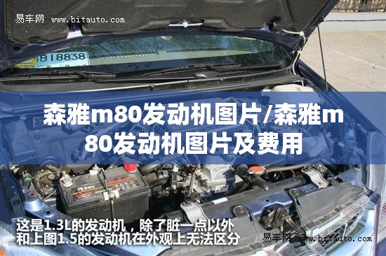 森雅m80发动机图片/森雅m80发动机图片及费用 森雅m80发动机图片/森雅m80发动机图片及费用