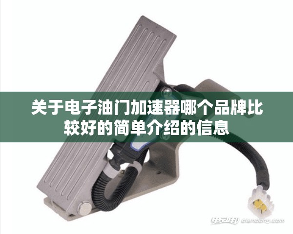 关于电子油门加速器哪个品牌比较好的简单介绍的信息