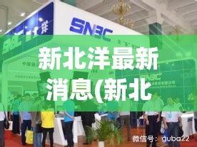 新北洋最新消息(新北洋最新利好消息) 新北洋最新消息(新北洋最新利好消息)