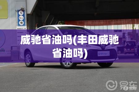 威驰省油吗(丰田威驰省油吗)