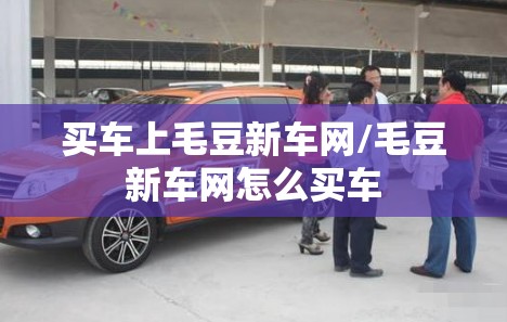 买车上毛豆新车网/毛豆新车网怎么买车