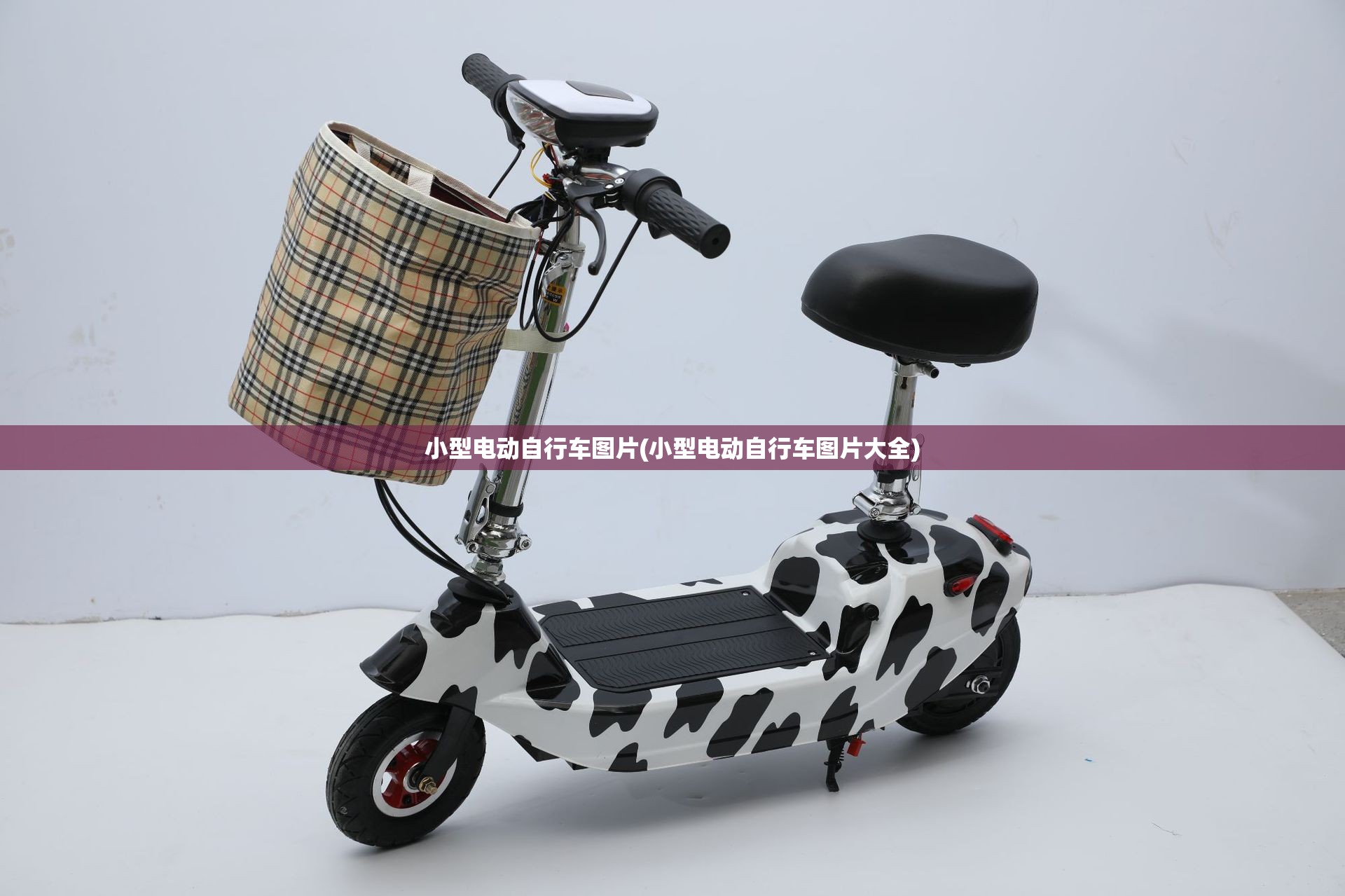 小型电动自行车图片(小型电动自行车图片大全)