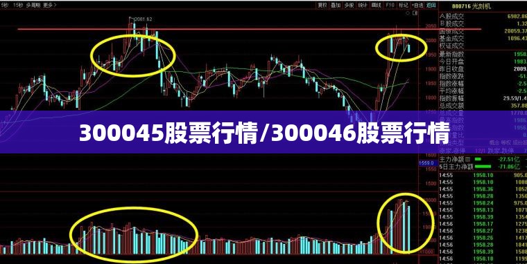 300045股票行情/300046股票行情 300045股票行情/300046股票行情