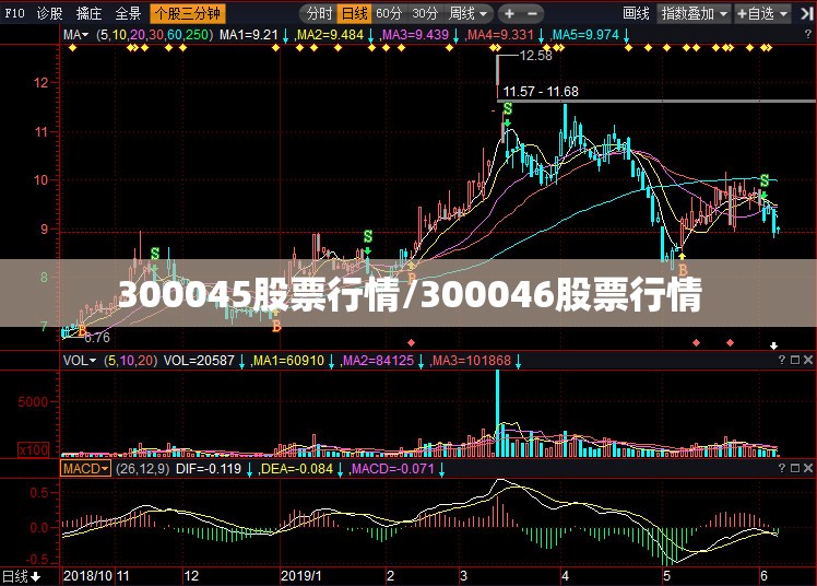 300045股票行情/300046股票行情 300045股票行情/300046股票行情