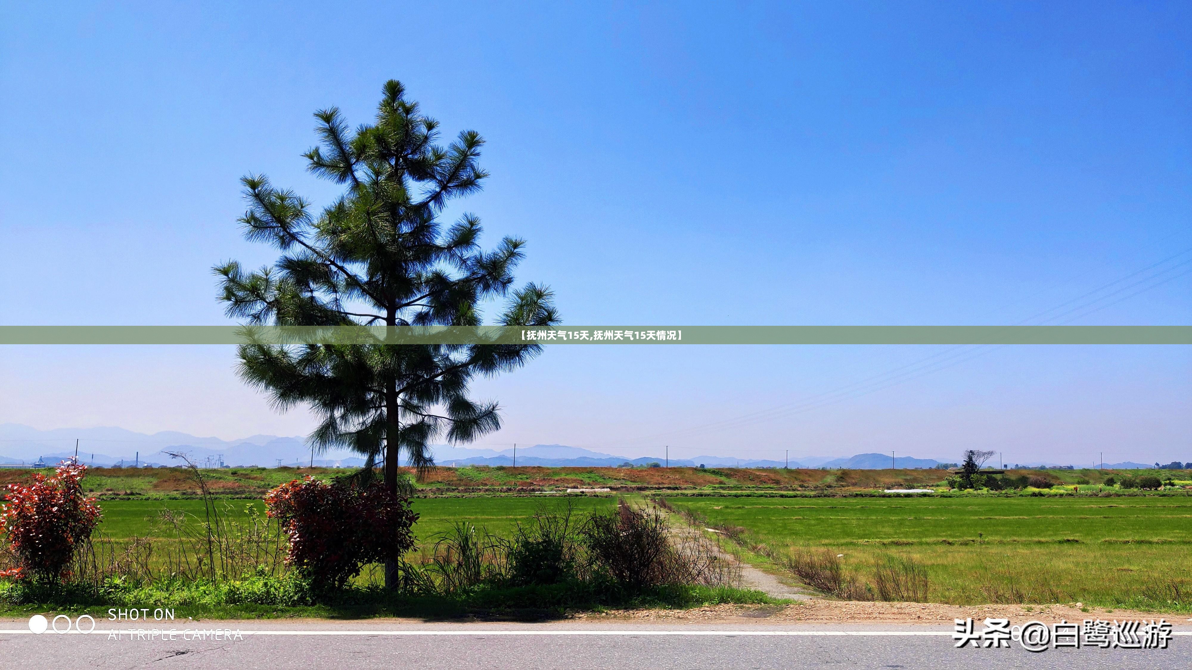 【抚州天气15天,抚州天气15天情况】 【抚州天气15天,抚州天气15天情况】