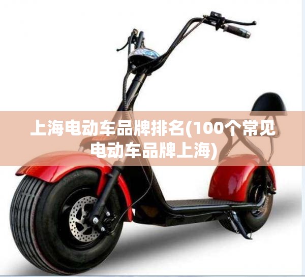 上海电动车品牌排名(100个常见电动车品牌上海) 上海电动车品牌排名(100个常见电动车品牌上海)