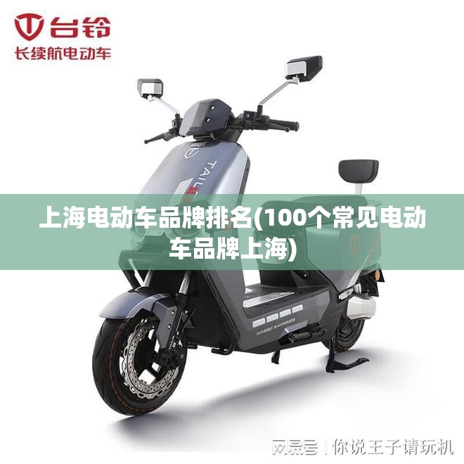 上海电动车品牌排名(100个常见电动车品牌上海) 上海电动车品牌排名(100个常见电动车品牌上海)