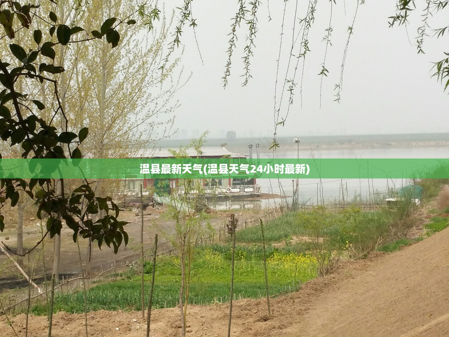 温县最新天气(温县天气24小时最新)