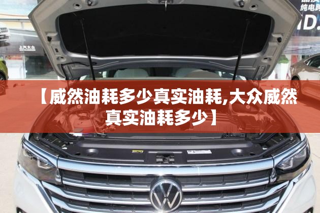 【威然油耗多少真实油耗,大众威然真实油耗多少】